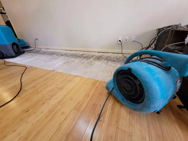 Professional Water Extraction technician working in Limaville, OH